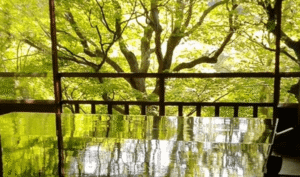 The Ultimate Guide to Rurikoin Temple: A Complete Guide to Highlights, Access, and Admission