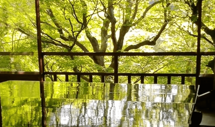 The Ultimate Guide to Rurikoin Temple: A Complete Guide to Highlights, Access, and Admission